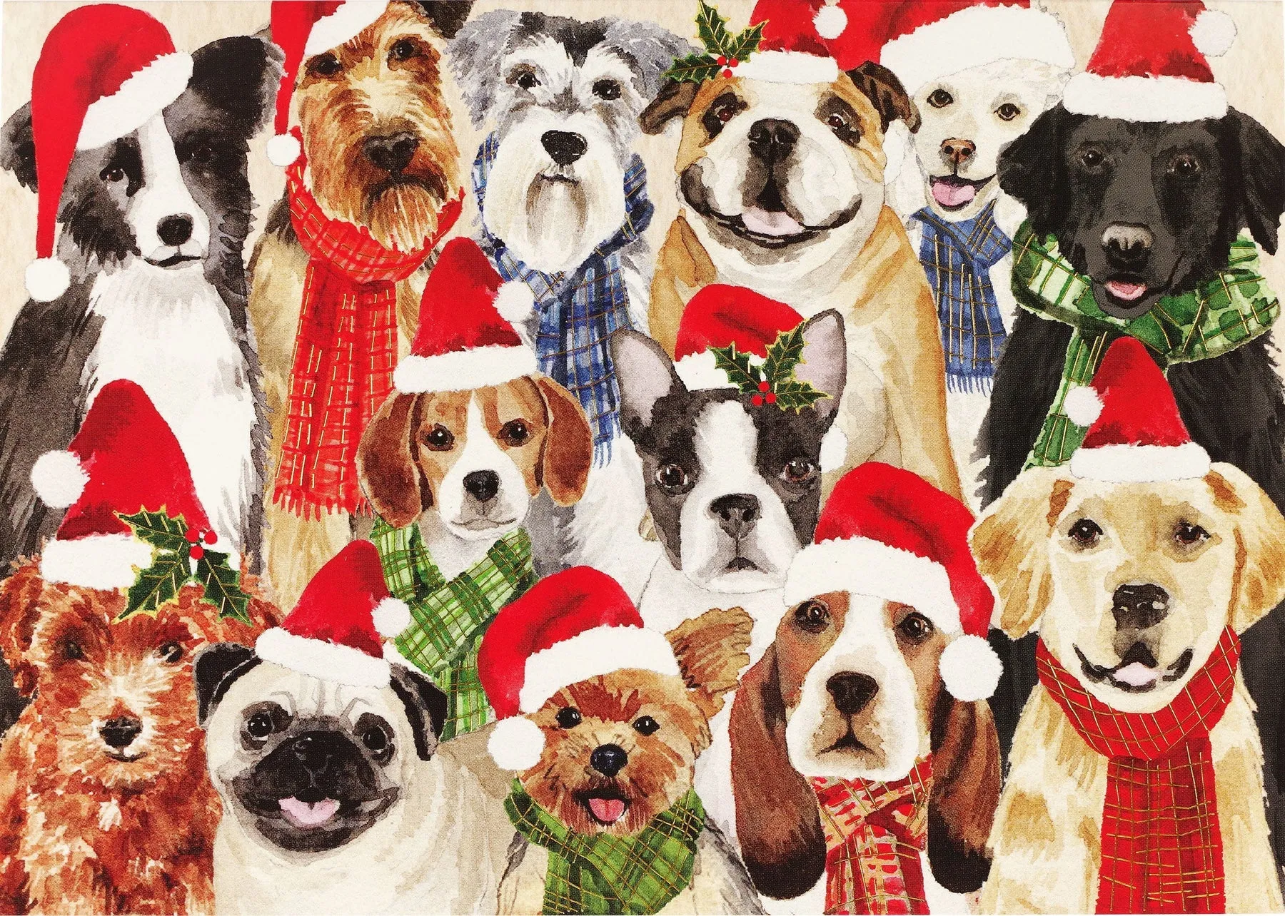 Deck the Dogs Deluxe Boxed Holiday Cards Set of 20