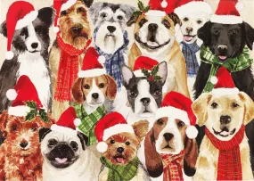 Deck the Dogs Deluxe Boxed Holiday Cards Set of 20