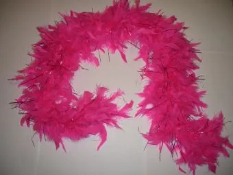 Feather Boa