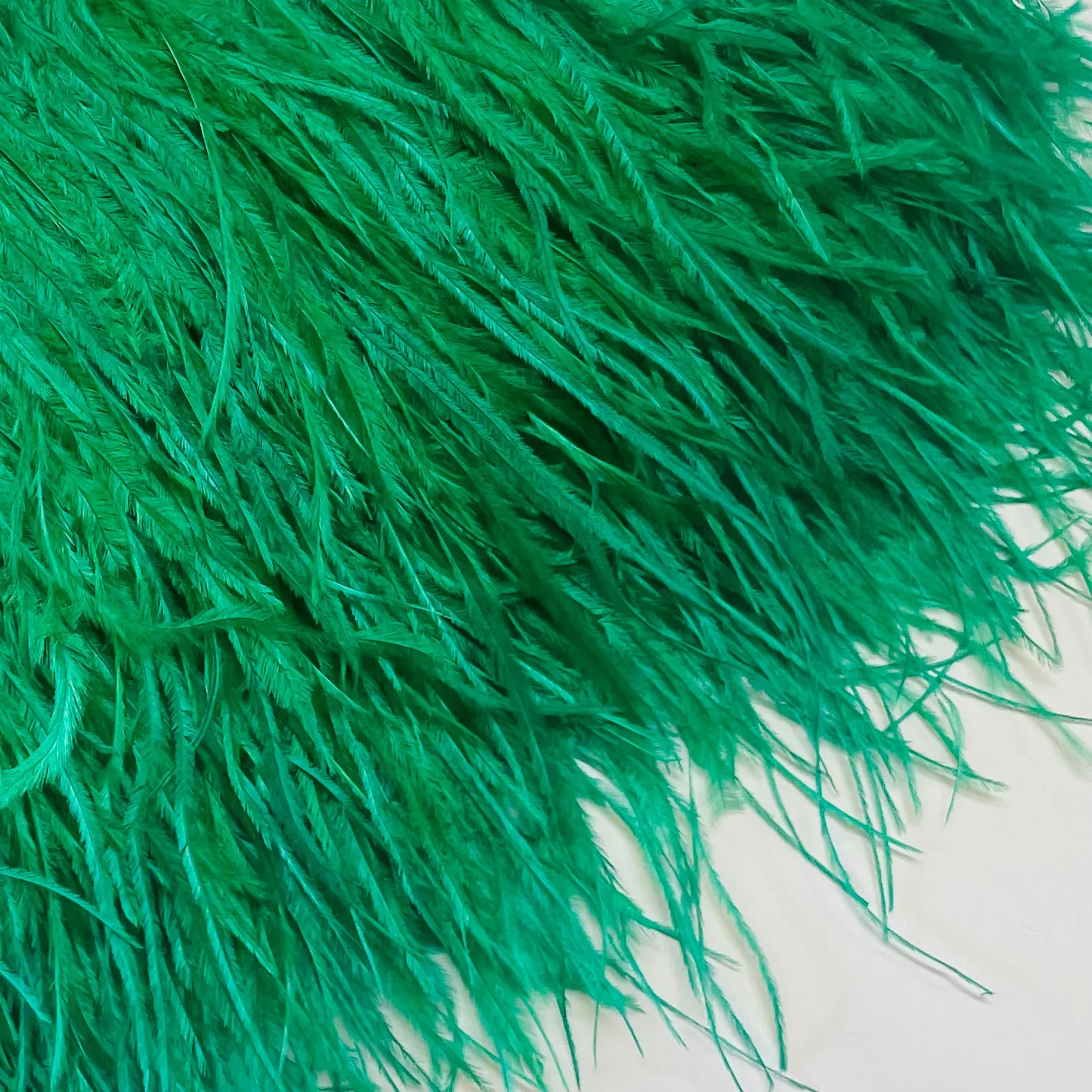 Ostrich Feathers Strung per metre - Green