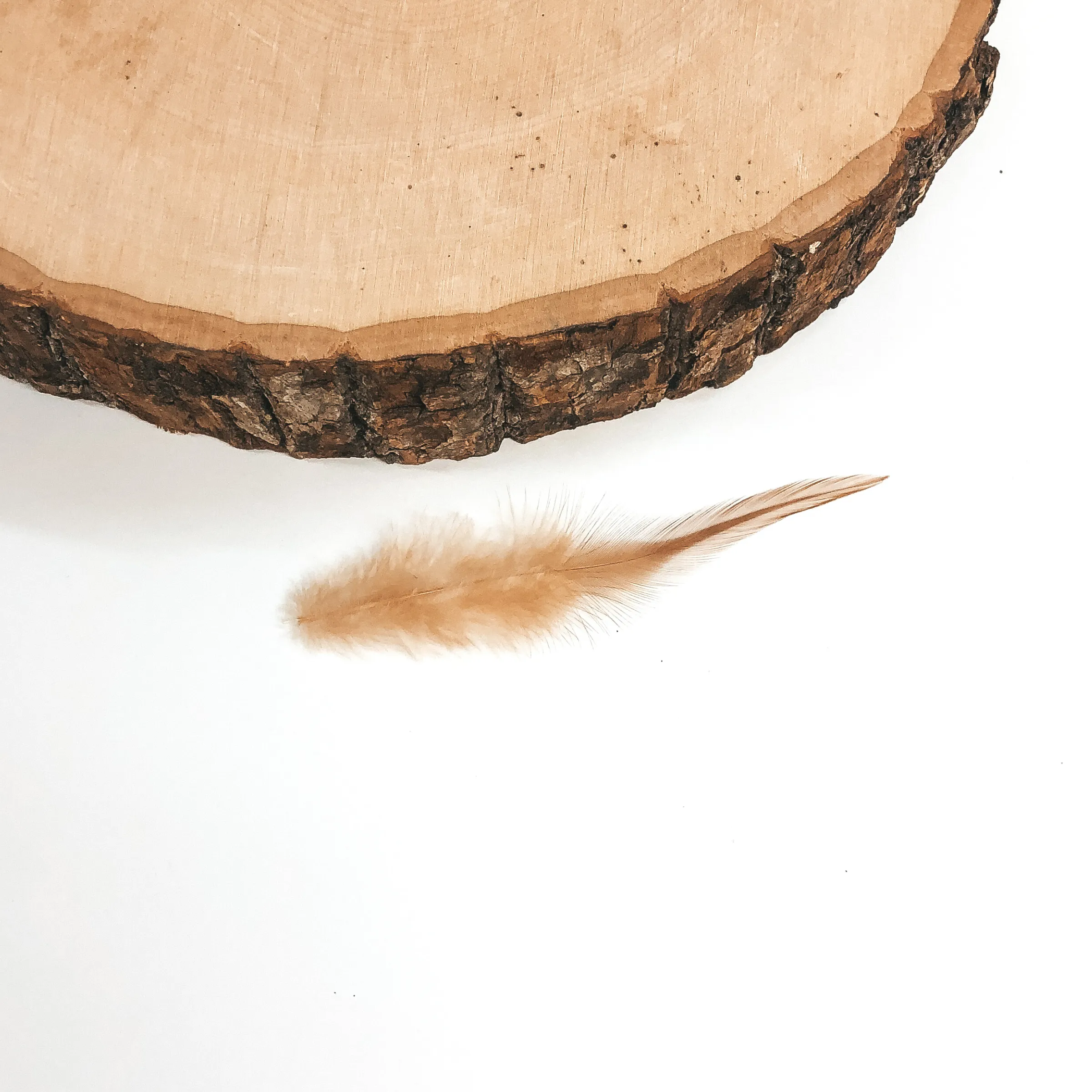 Surprise Mini Feathers